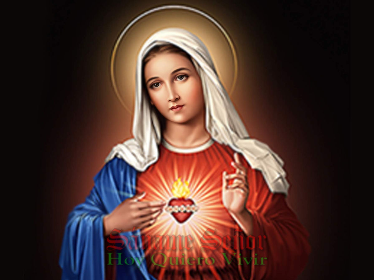 Mi Consagración Al Inmaculado Corazón De María